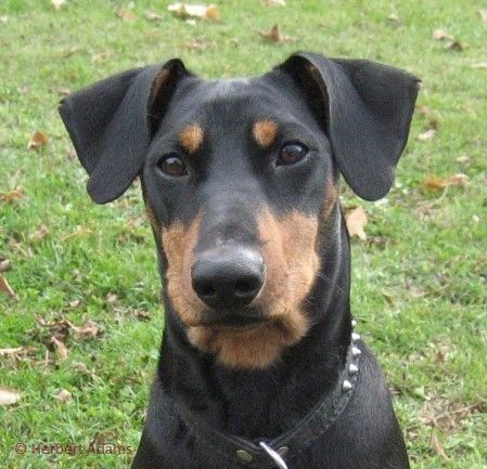 Sara-Lisa 1 Jahr